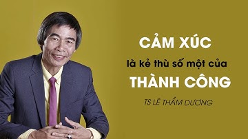 CẢM XÚC LÀ KẺ THÙ SỐ 1 THÀNH CÔNG 2 - TS LÊ THẨM DƯƠNG