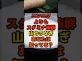 ㊗️20万回再生🎊最強スタミナ食材「山のうなぎ」みなさんはご存知ですか？ #健康 #雑学