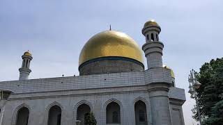 Прогулка по Алматы: Зелёный базар, Центральная мечеть, Автовокзал Саяхат