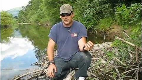 Crawdad & Minnow Trap Test and How To