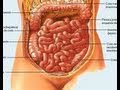 Remedio para el estreñimiento y la colitis. Inflamación del intestino. Colon irritable