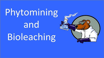 Metal extraction (Bioleaching and Phytomining)