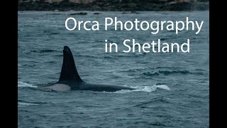 Orca Photography - DJI Osmo Pocket 3 + Nikon D500