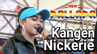 Jihan Audy New Pallapa Kangen Nickerie [cipt Didi Kempot] X Traine Nangou Japan 22