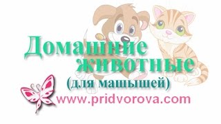 ДОМАШНИЕ ЖИВОТНЫЕ для малышей с рождения. Карточки ДОМАНА