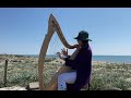 Only time by enya  harp cover