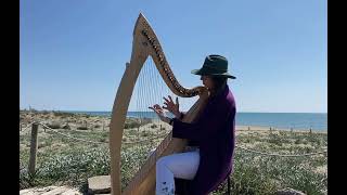 Video thumbnail of "Only Time by Enya - harp cover"