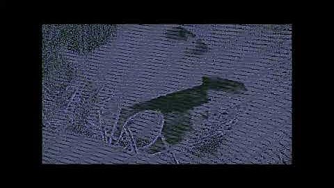 Video Sample Bitcrushed w effects