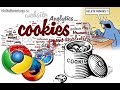 Как включить поддержку файлов cookies в браузере