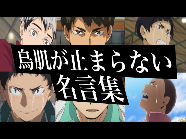 【名場面・名言集】感動・勇気・心に刺さるアニメハイキュー名言集　（挑戦しようか迷っているあなたへ） class=