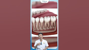 Có Gì Bên Trong Chiếc Răng Của Bạn | Nha Khoa Minh Châu