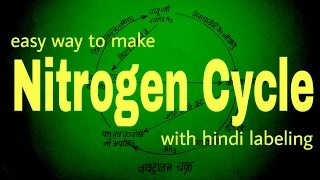 Lets Draw Nitrogen cycle diagram Chemistry Class Sketches Diagrams Art