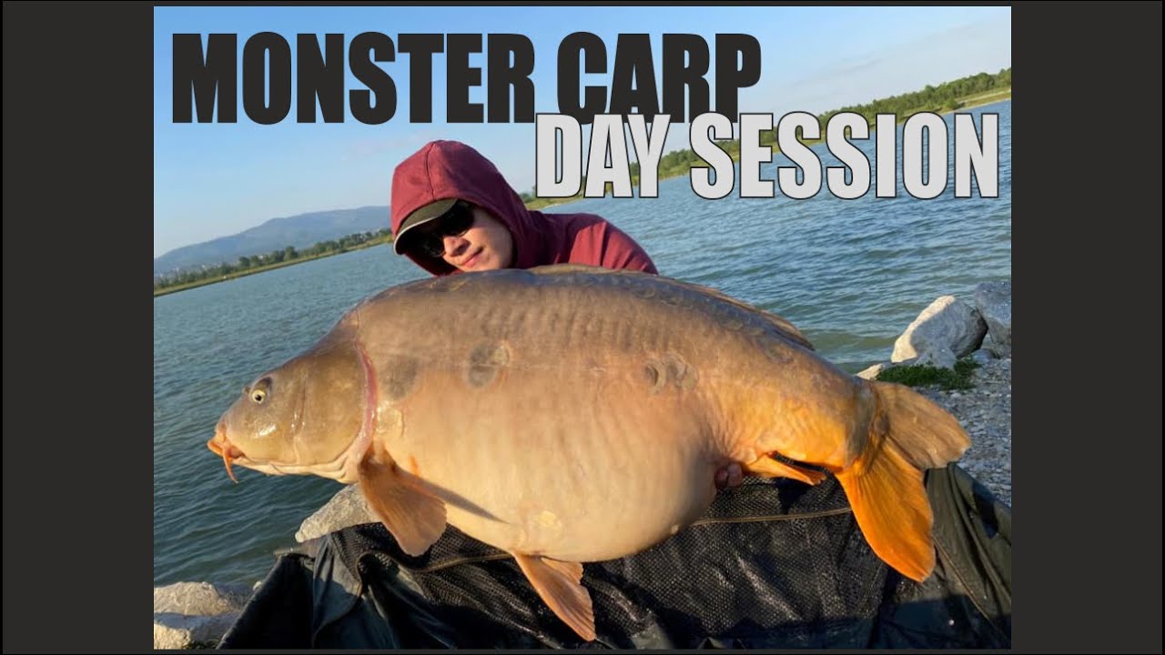 monster carp tours