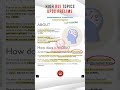 #170. Neuromorphic Computing | Science & Technology | #upsc #shorts #gk #viral
