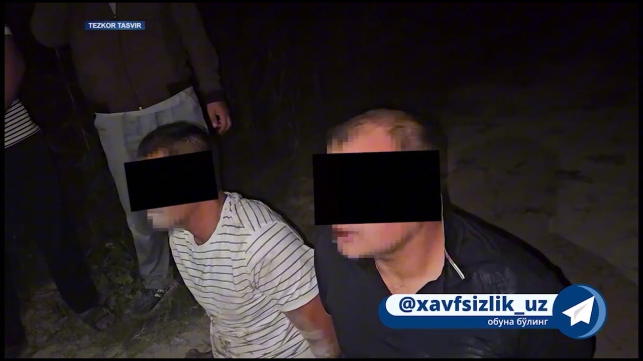 Пораҳўрлар тўдаси қўлга тушди, божхонадаги найранглар (Хафта криминаллари 2025 йил сентябрь сони)