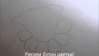 РОЗОВЫЙ ВЫПУСК!!! Как красиво нарисовать цветок!!!(Привет в этом видео я покажу и расскажу как красиво нарисовать цветок!!! Приятного просмотра!!)), 2015-11-22T00:48:52.000Z)