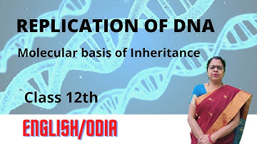 Replication of DNA || Molecular basis of Inheritance || CHSE || Class 12th || English/Odia