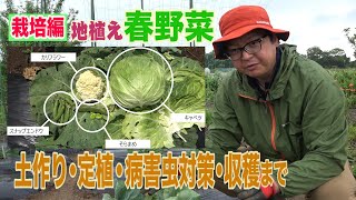 地植えの春野菜によく出る#病害虫　の対策を紹介～ガーデンドクターTV43