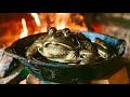Catching giant bullfrogs for a feast catch and cook