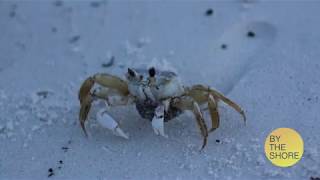 Module 3 Slideshow