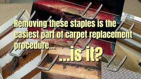 What Is The Easiest Way To Remove Carpet Staples? Removing Carpet Staples New Video