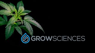 Discover Elite Craft Cannabis & Rosin Cartridges by Grow Sciences in Arizona's Recreational Era