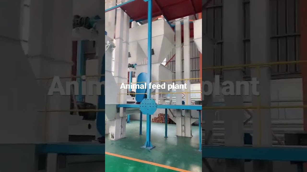 Animal feed production line livestock feed processing machine chicken feed making machine