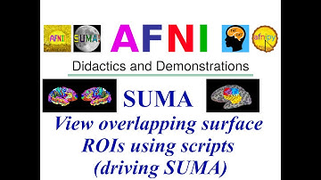 [AFNI Academy] View overlapping surface ROIs using scripts (driving SUMA)
