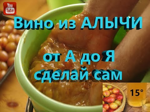 Что можно сделать из алычи в домашних условиях