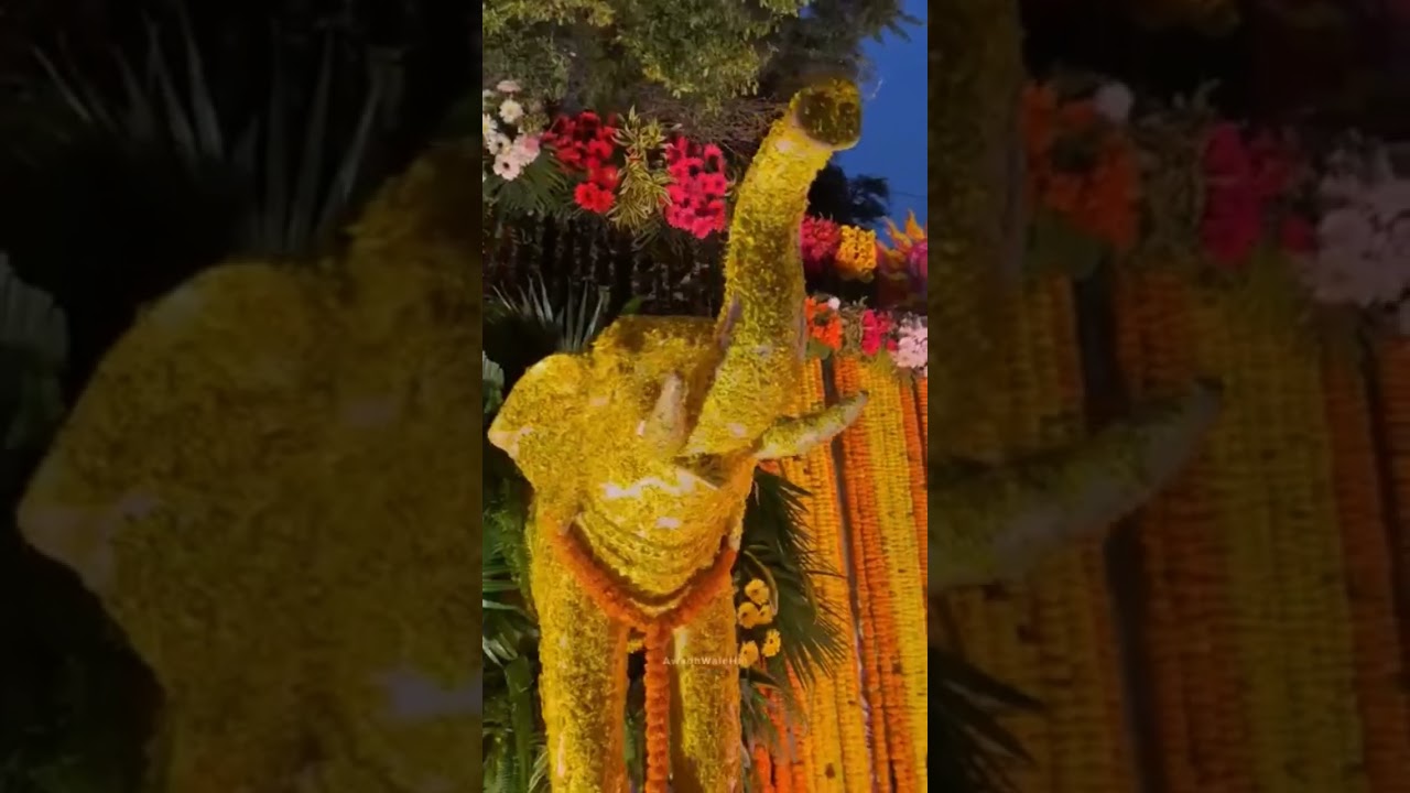 Jai Shree Ram /Ayodhye