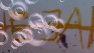 Video the jak anjing