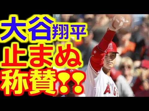 【大谷翔平 エンゼルス】【称賛 絶賛】殿堂打者が好打者と絶賛 ファンも キャプテン翼も…