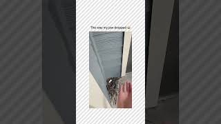 The Way My Jaw Dropped