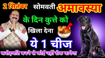 2 सितंबर सोमवार सोमवती अमावस्या के दिन कुत्ते को खिला दें ये 1 चीज 3 दिनों में बनोगे करोड़पति..