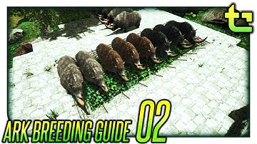 Ark Breeding || How To - Breed for Stats || TimmyCarbine