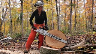 Trying out a Stihl MS661C Chainsaw