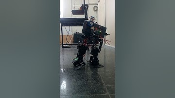 Biped Walking Robot -Project assignment For Skyfi Labs online course by Sai kiran.ch.