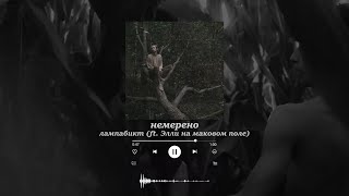Немерено  / LYRIC / Song by лампабикт (ft. Элли на маковом поле)