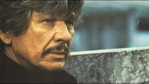 LOVE AND BULLETS (1979)☆CHARLES BRONSON☆VISITA NUESTRO BLOG👇👇⤵🔻