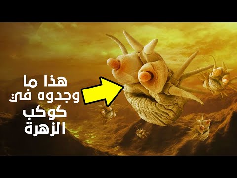 فيديو: هل الحياة على الزهرة؟