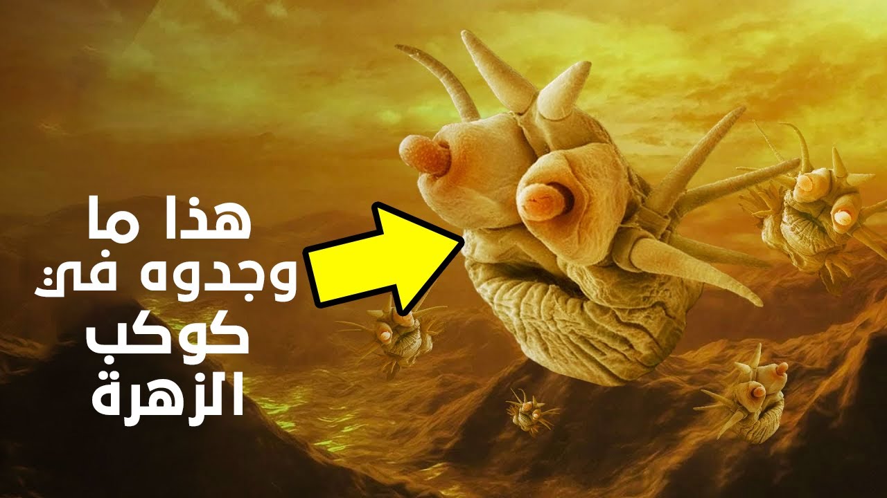 ماذا لو كانت هناك حياة على كوكب الزهرة !!