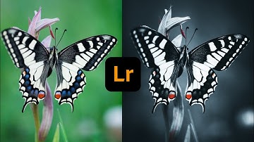 Butterfly Photo Editing - Lightroom Tutorial