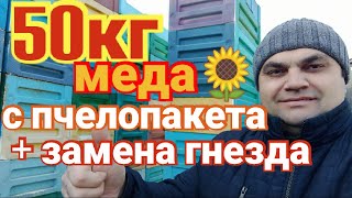 50 кг меда 🌻с пчелопакета и замена гнезда в шестирамочнике Apix.