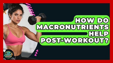 How Do Macronutrients Help Post-workout? - High Energy Training Hub