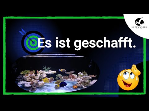 Video: So richten Sie ein Meerwasser-Riffaquarium ein