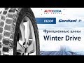 Шины Cordiant Winter Drive – идеально для зимы в городе. Обзор зимних шин.