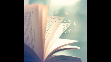 Chổ Nào Củng Nắng Chuồn Chuồn Đạp Nước | Nguyễn Ngọc Tư