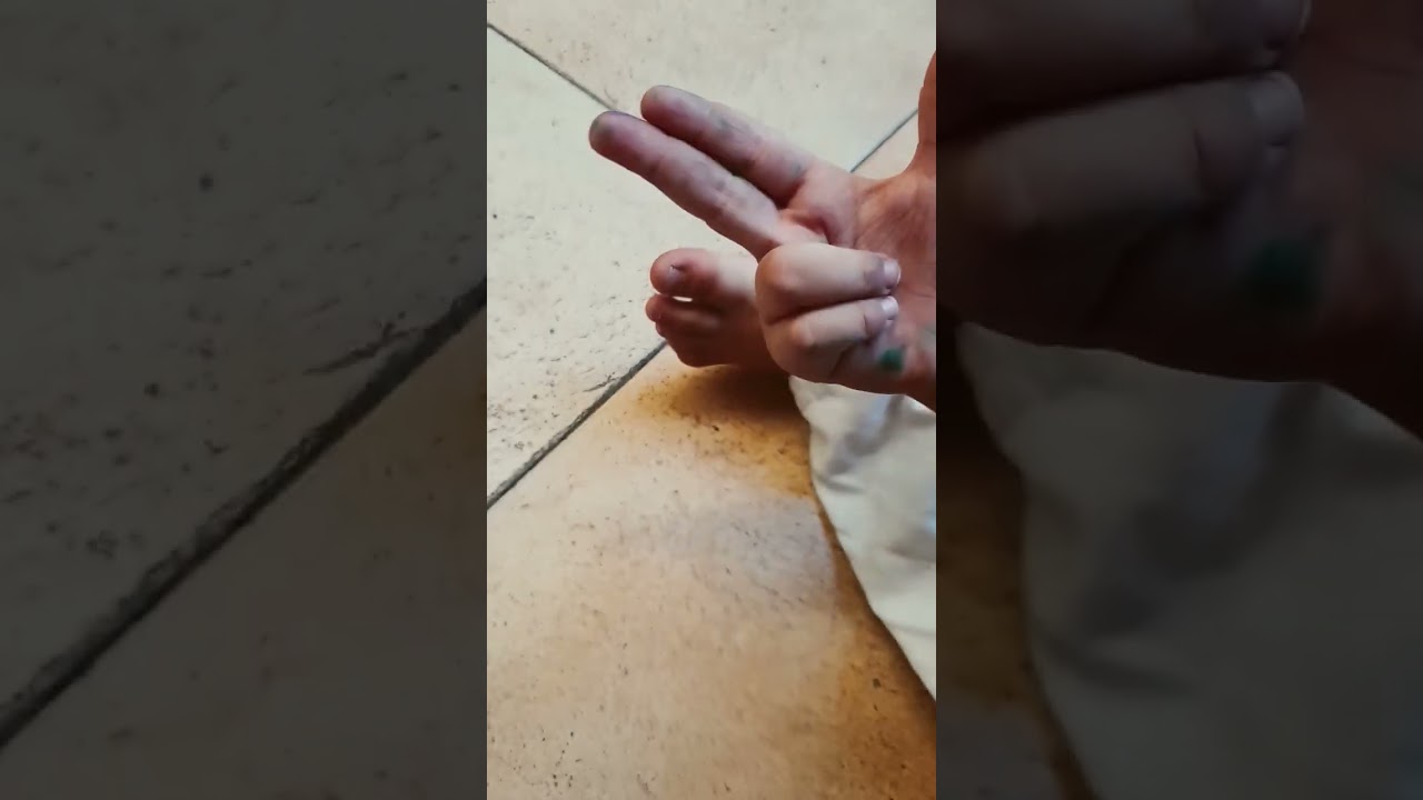 my little brother YouTube