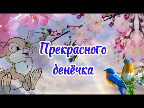 Прекрасного Денёчка 💐Музыкальное Пожелание Хорошего Дня😘С Добрым Утречком☕️Пожелание Доброго Утра