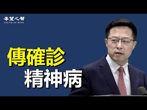 網傳趙立堅被診斷出患有精神病；佩洛西飛台當晚 美中之間驚心動魄；